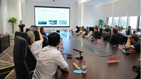 Global Energy Transition: How NENGHUI is Shaping the Future of Solar and BESS with European Partners